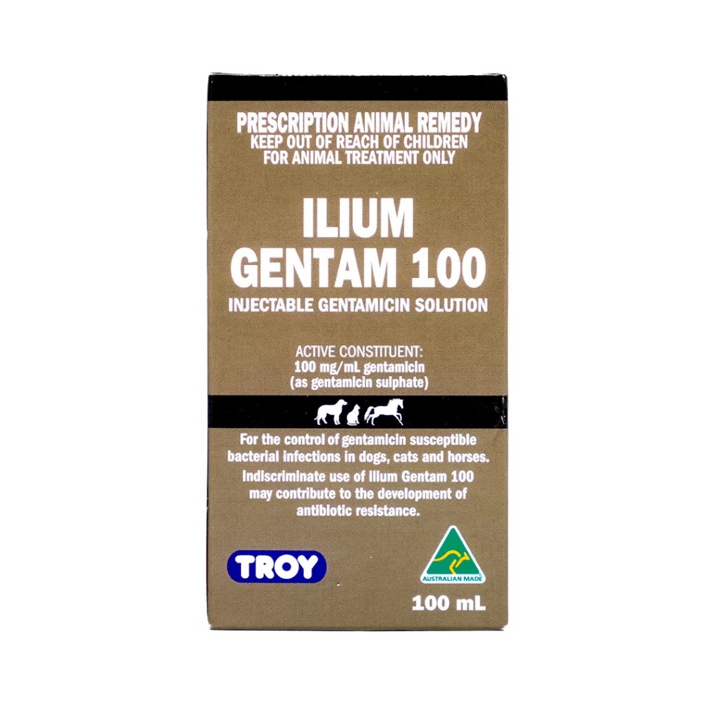 Gentam 100 Injection 100 ml