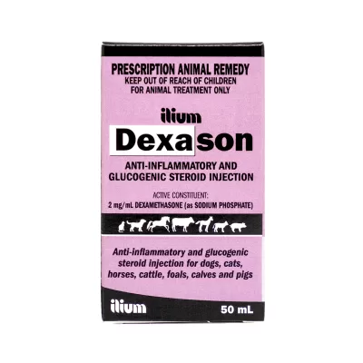 Dexason Injection 50ml